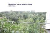 Садоводческое товарищество «Дружба» - Панорамный вид на массив леса Зеленого города